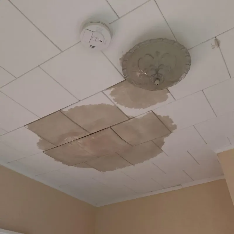 Ceiling Water Damage Repair in Olga, FL