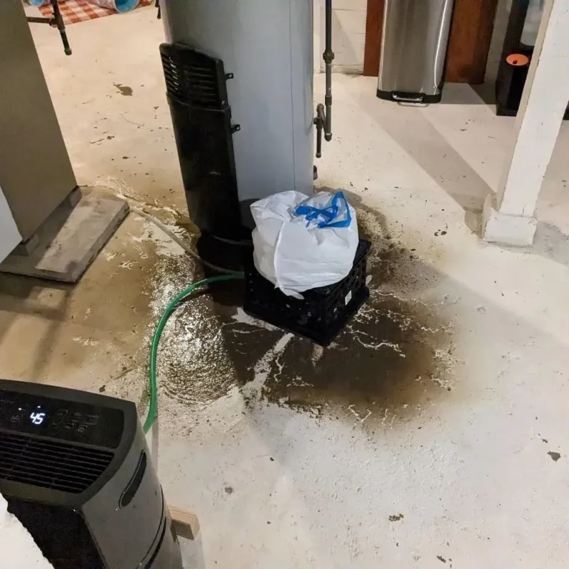Sewage Backup Cleanup Service in Olga, FL